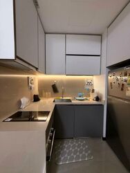 Normanton Park (D5), Apartment #473339131